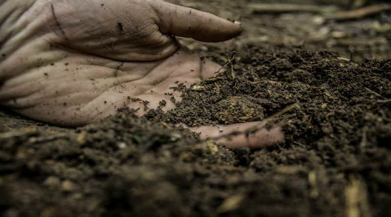 Stvoření člověka a vtělení Krista