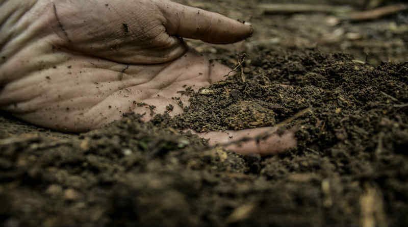 La creación del hombre y la encarnación de Cristo