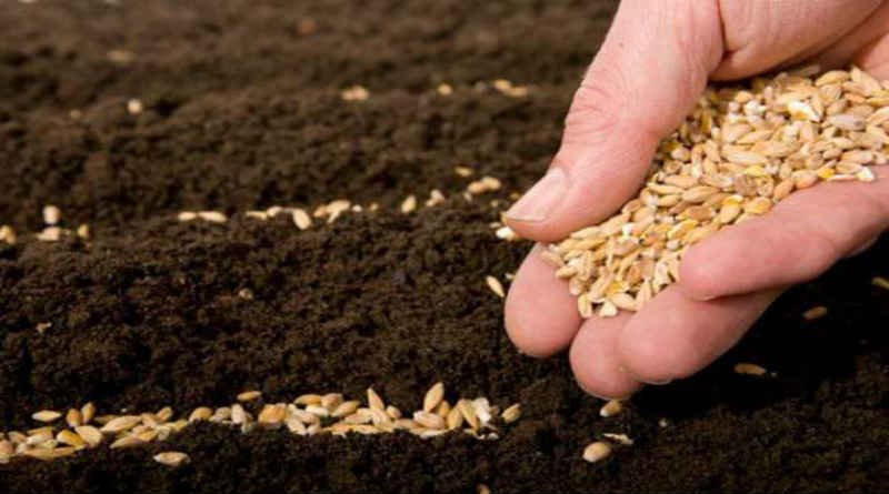 Doğrular imanla yaşayacak