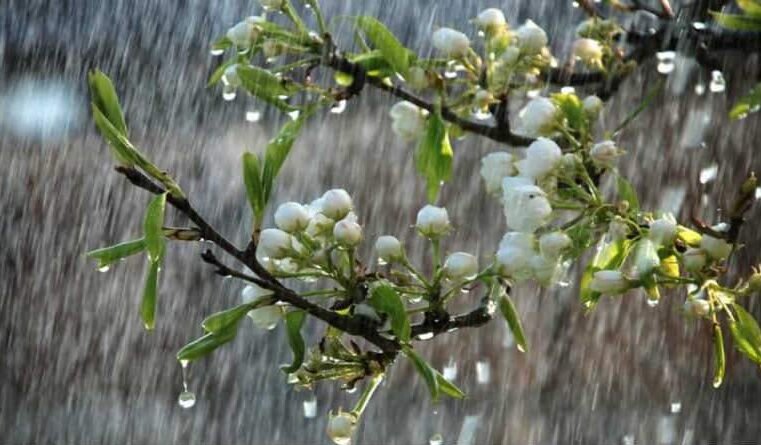 Bênçãos Espirituais