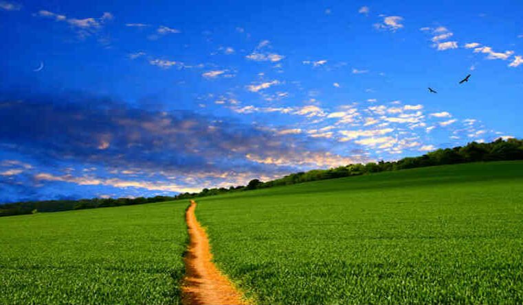 O caminho dos justos