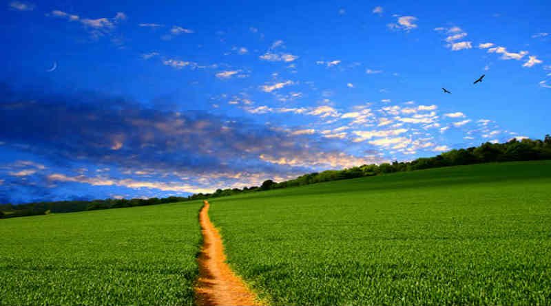 O caminho dos justos