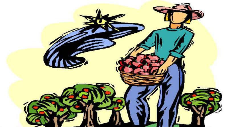 Arrependimento e fruto