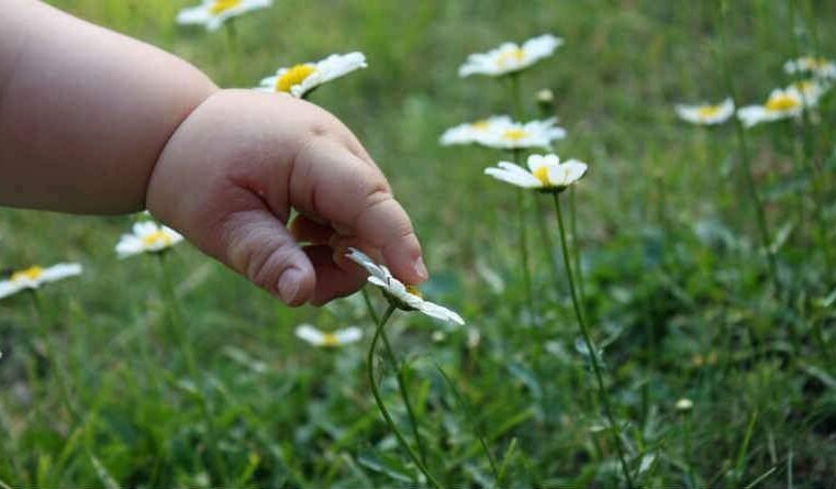 Um inocente também é justo?