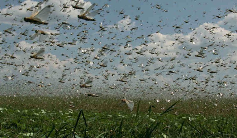 Joel 2 – A invasão dos caldeus