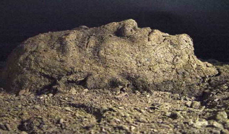 Morreu o homem piedoso!