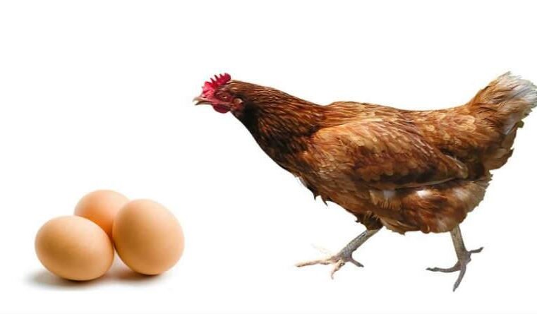 Só é possível crer depois de chamado e habilitado por Deus?