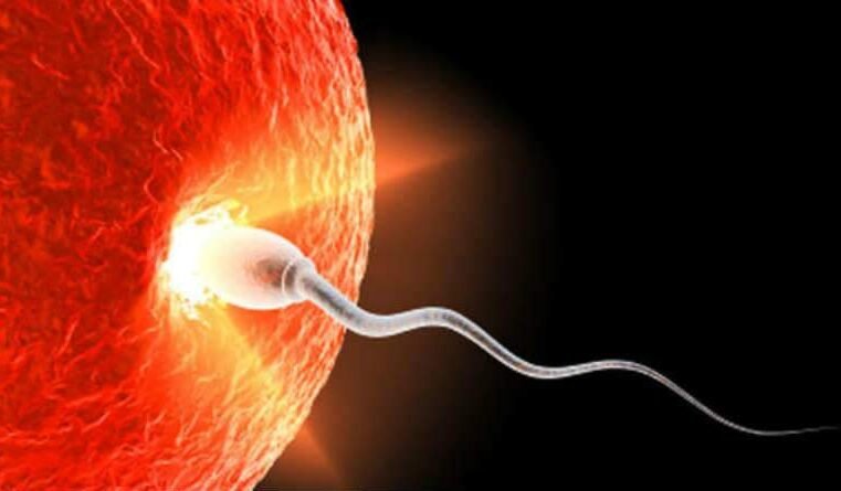 Quando o homem escolhe entrar pela ‘porta larga’?