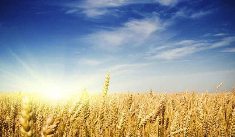 O que entender por vida abundante?