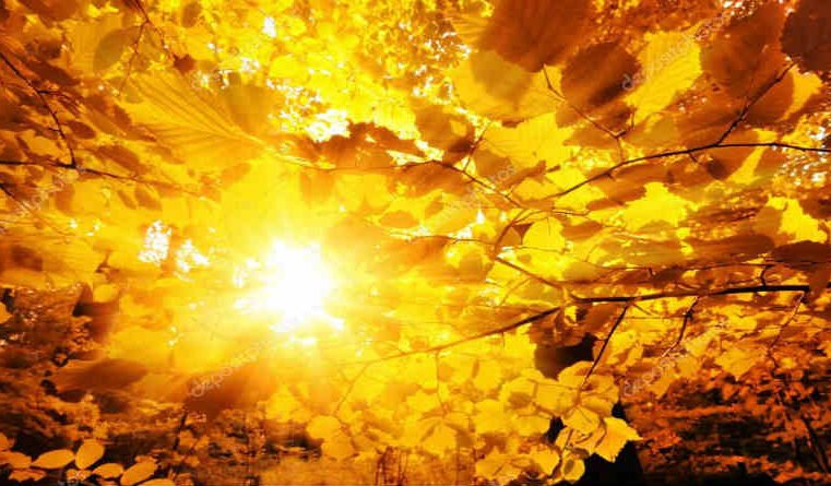 Como ultrapassar a justiça dos fariseus