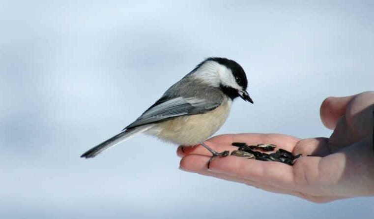 Oração: confiança em Deus expressa em palavras