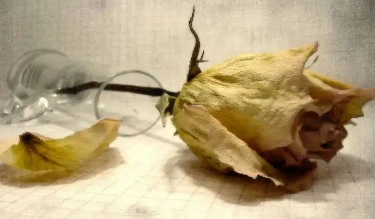 Não matarás e o Sermão da Montanha