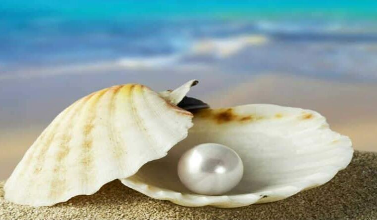 O tesouro escondido e a pérola de grande valor