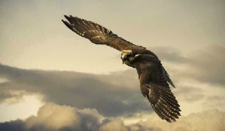 Isaías 40 – Eis aqui o vosso Deus!