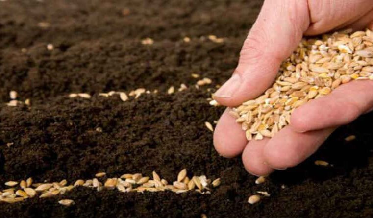 O justo viverá da fé