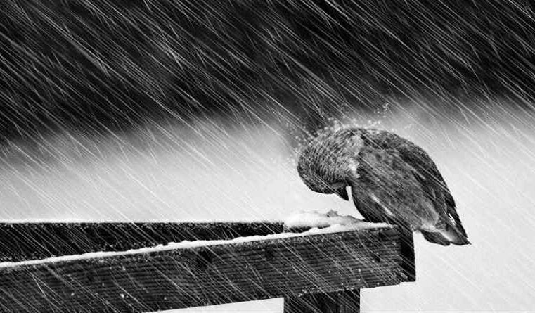 Como afligir a alma?