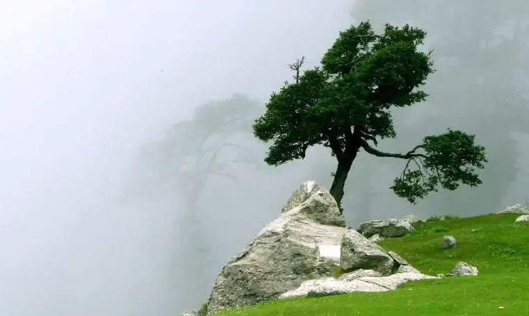 As misericórdias do Senhor nas Lamentações de Jeremias