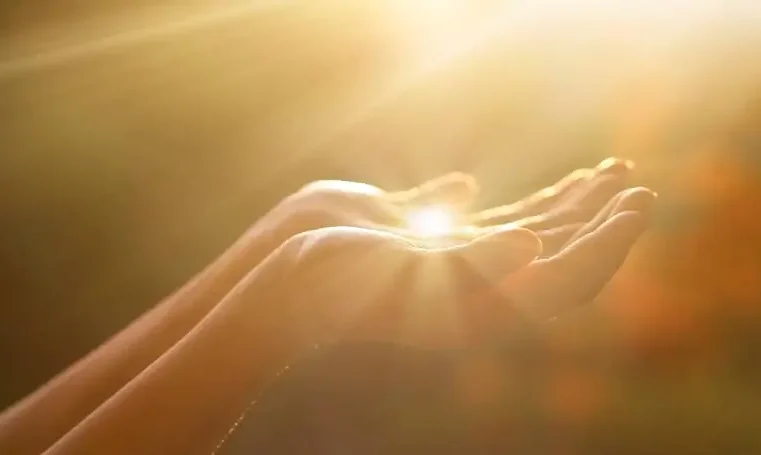 Deus é glorificado através das árvores que plantou